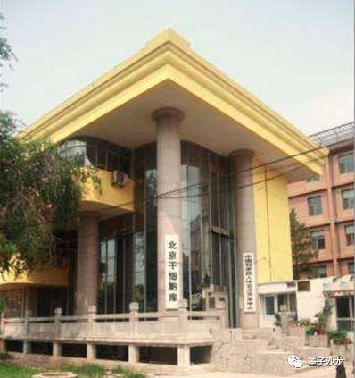 干细胞的代码,生命源代码61