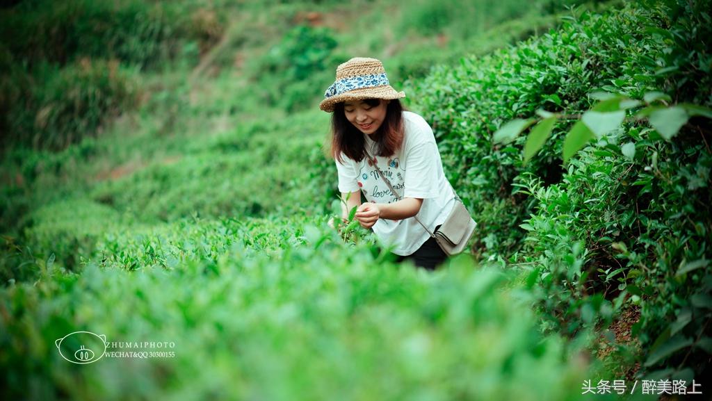 江西三清山风景区一日游攻略,江西圭峰山风景区攻略