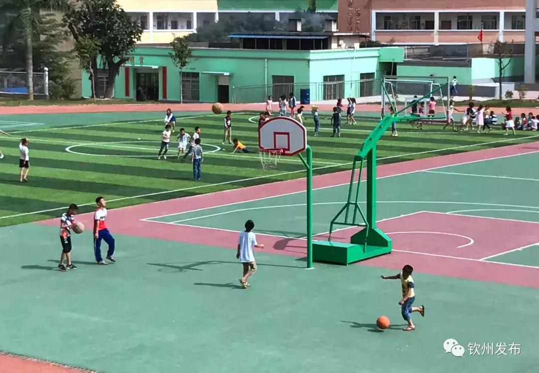 网眼看视界,网眼看钦南