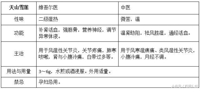 带您走近传说中的“天山雪莲”