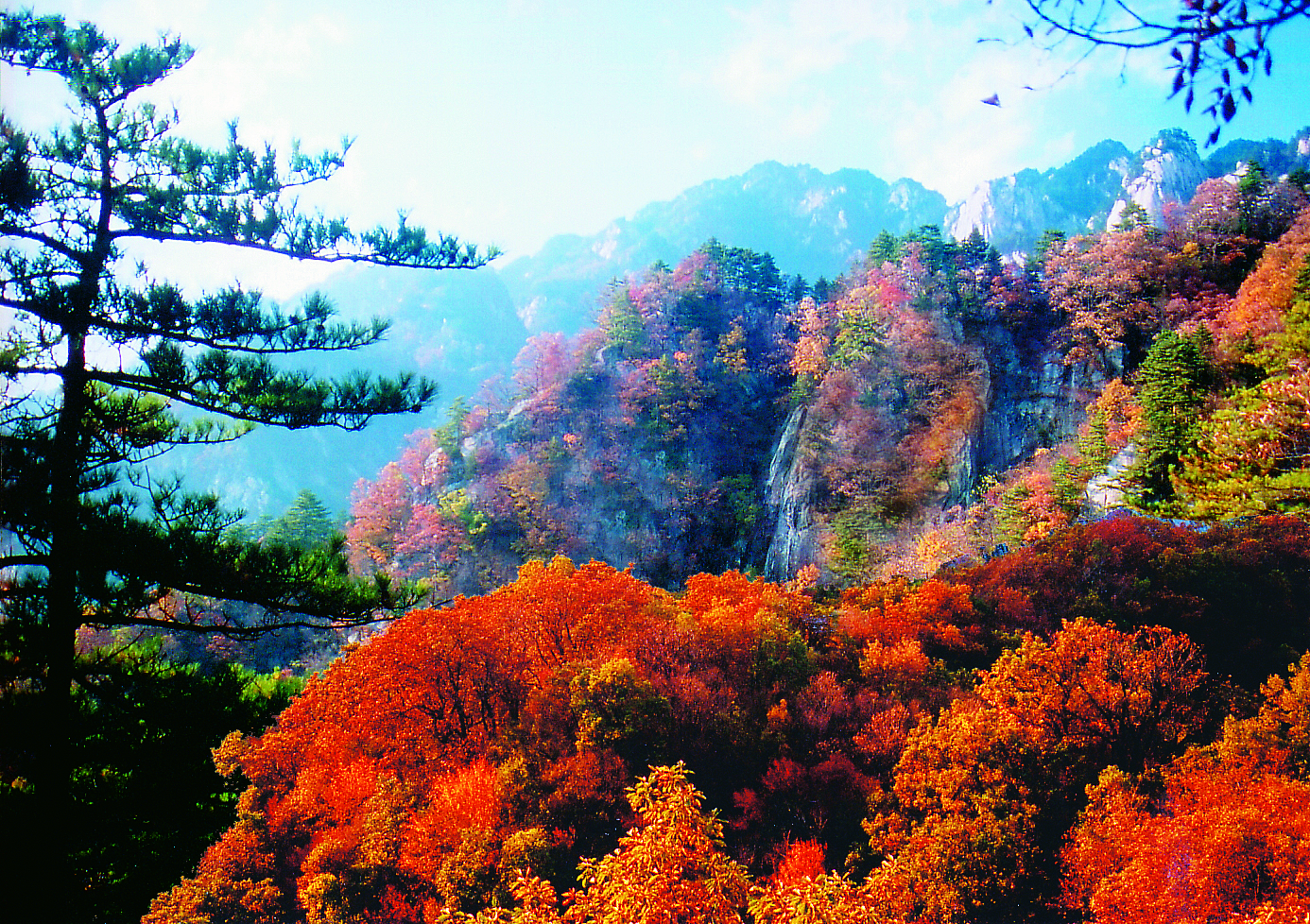 5a嵩县,5a嵩县县城