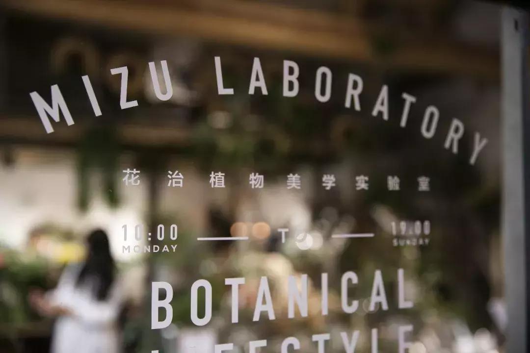 不爱回家探店,北京网红花店有哪些