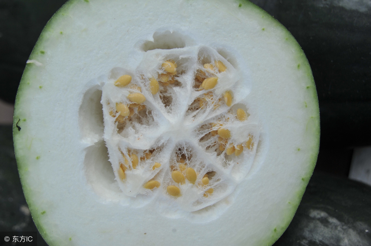 吃西瓜不吐籽会长出西瓜吗,吃西瓜一定要吐籽吗