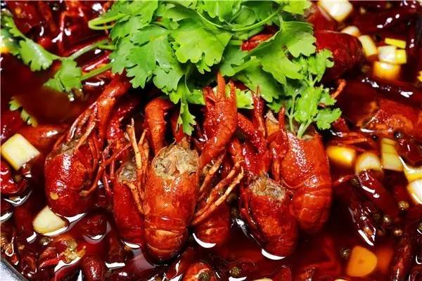 湖南魔芋豆腐龙虾的家常做法,龙虾放魔芋豆腐韭菜的做法