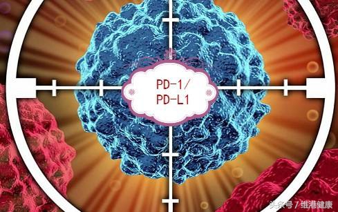 中国抗癌新药pd1哪里可以购买,pd-1抗癌药在哪里买什么价
