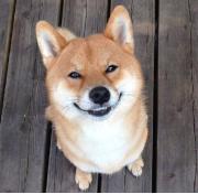 爱笑的女孩法令纹都很深,爱笑的女孩有法令纹怎么办