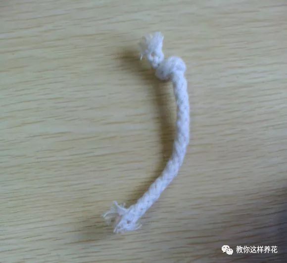 塑料瓶自制免浇水的花盆方法,自吸水免浇水懒人花盆