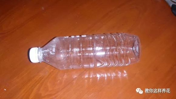 塑料瓶自制免浇水的花盆方法,自吸水免浇水懒人花盆