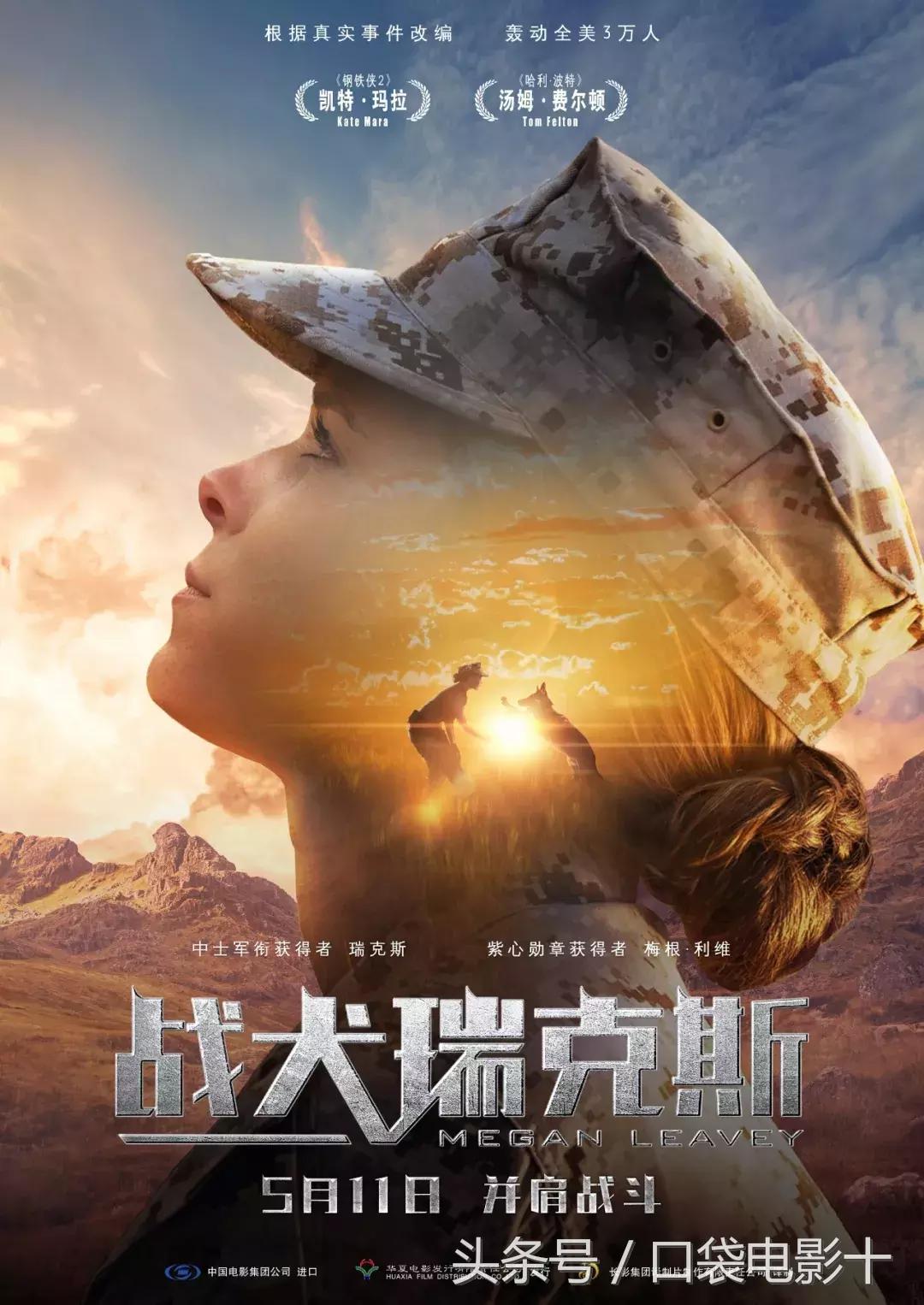 蚌埠复联3影讯,口袋侦探3还会出来吗