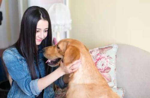 跑男团成员的宠物有哪些,跑男团更宠谁