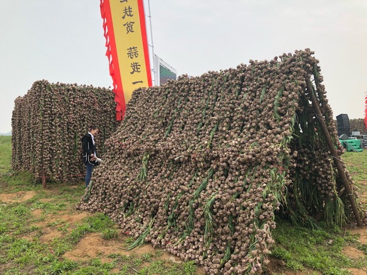 娌冲崡鐢靛晢澶ц挏,鏉炲幙澶ц挏鐢靛晢浠ｅ姙