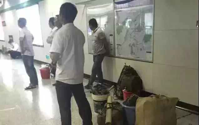 如何看待董卿跪地采访,董卿节目中三次下跪