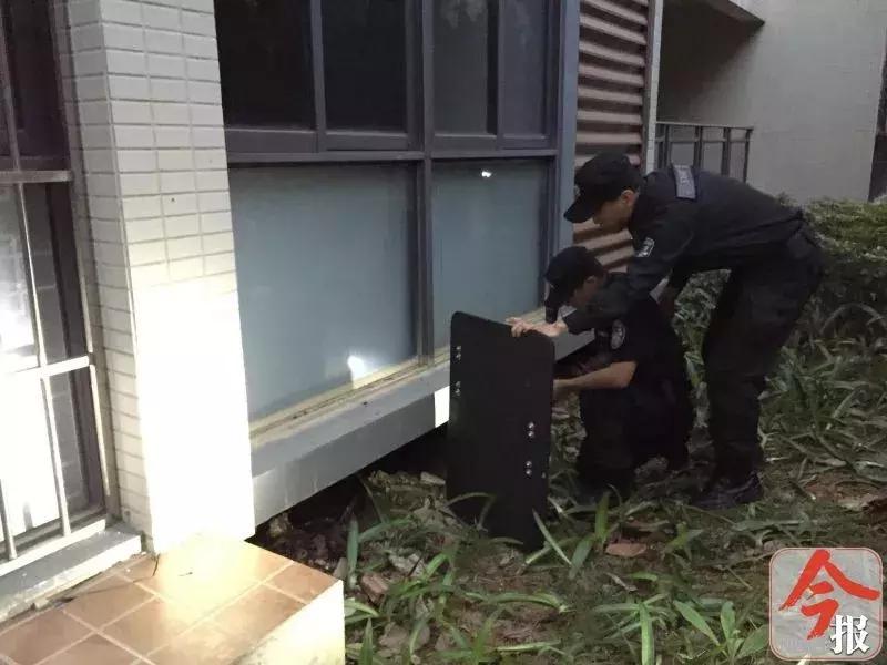 恶犬咬死小狗,花果园恶犬咬死猫