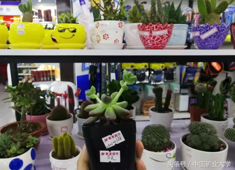 小煤球教程完整版,小煤球使用方法