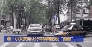 董卿跪地为什么获得网友的称赞,董卿卑躬屈膝