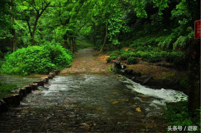 安吉亲子度假酒店有哪些,浙江十大亲子度假酒店