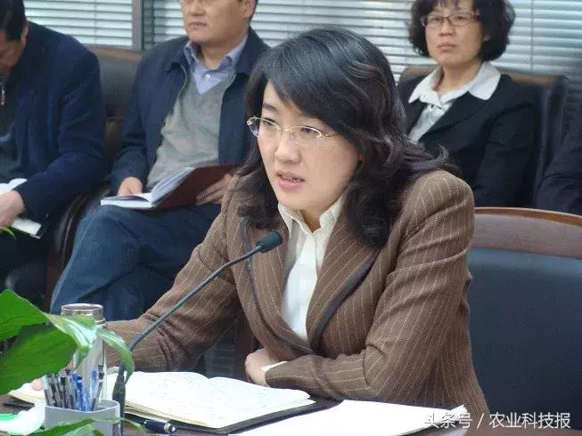 蝶变西安,富平农村蝶变