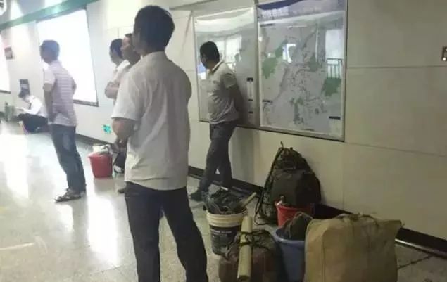 董卿跪,董卿下跪的节目