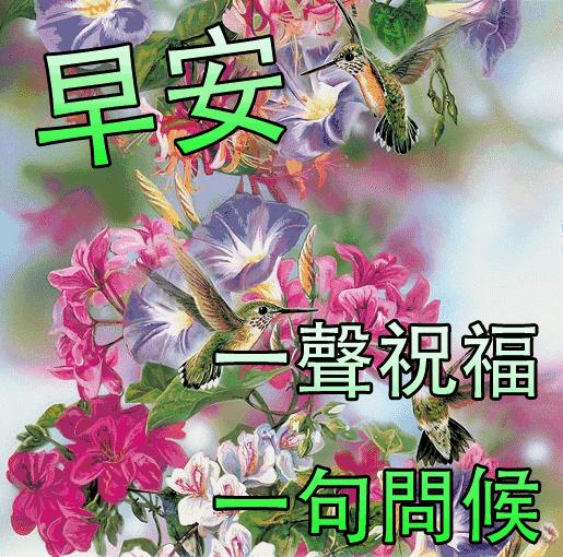 早上好鲜花带字表情包图片,早上好鲜花图片动态表情