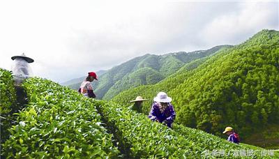 清江长阳旅游线路推荐一下,游长阳清江画廊