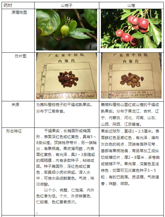 栀子中药植物,栀子能做什么