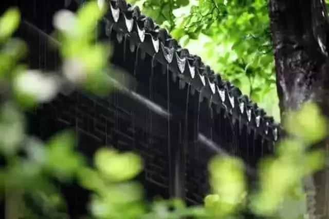 青梅的诗句古诗,青梅古诗其二