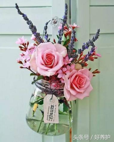 插花干货,值得收藏的插花