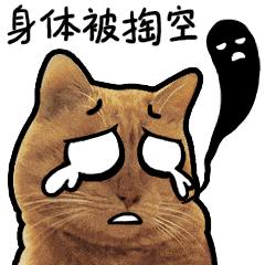 异地就医三千多报销三百多,三步轻松搞定异地就医报销