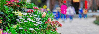 10月篁岭一日游最佳路线,篁岭旅游摄影攻略