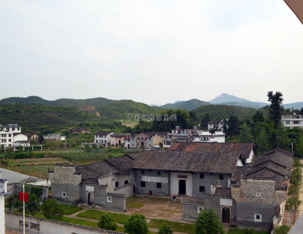 江西宁都小布茶,宁都县小布乡茶叶基地