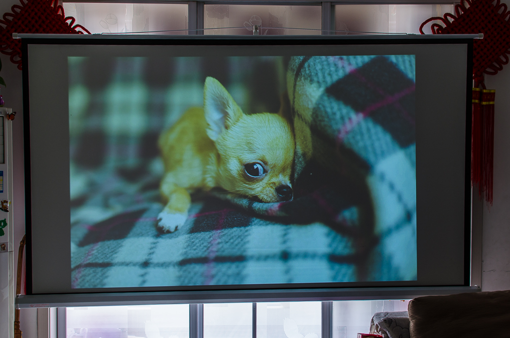 坚果g7投影仪什么时候发布的,坚果g7支持4k吗