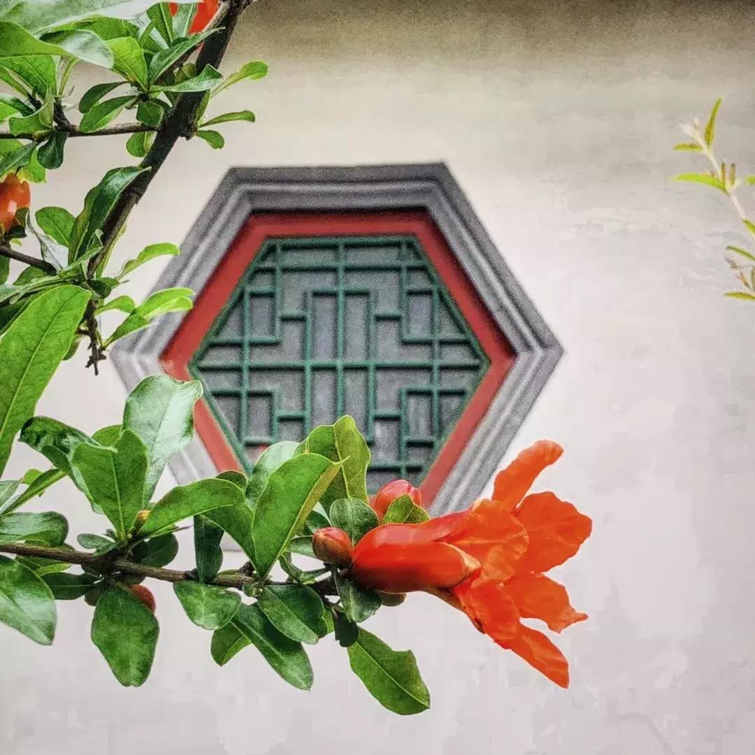 五月石榴花开正当时,五月景色石榴花开图片