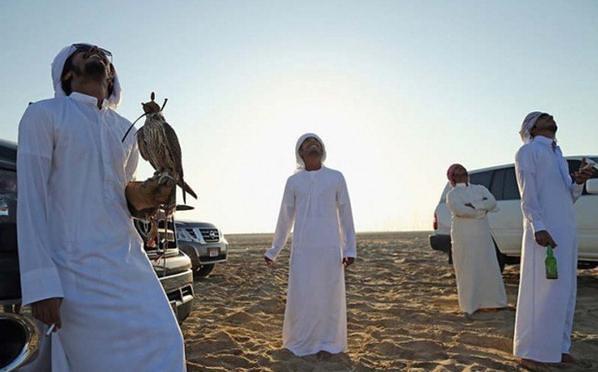 中东土豪的宠物狮子老虎,中东土豪为什么喜欢老虎狮子宠物