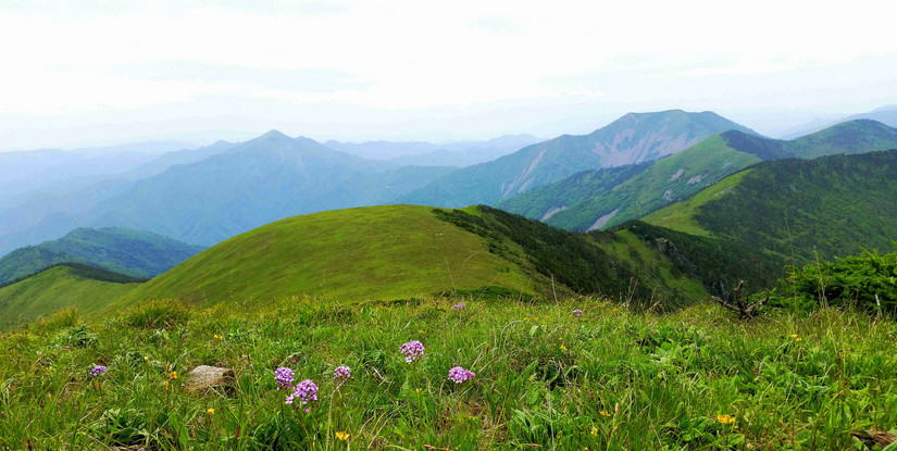 天华山-秦岭梁，又一条风景秀美的一日劲走线路