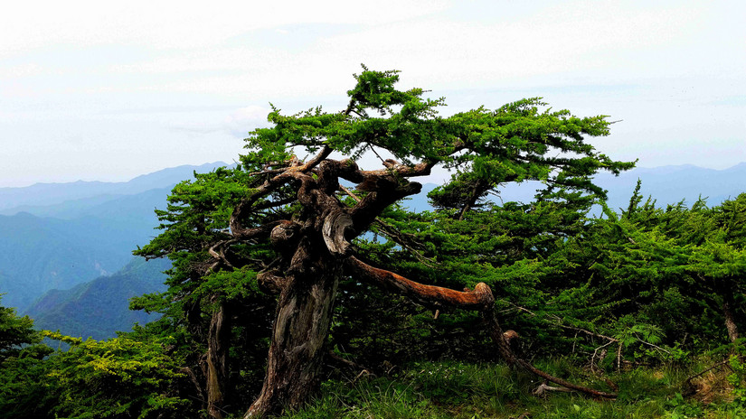 天华山-秦岭梁，又一条风景秀美的一日劲走线路