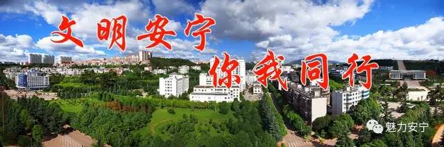 安宁跨越发展领跑全省县域经济,安宁市全国百强市