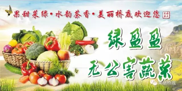 一寺一校一画院——石桥中学新生记！