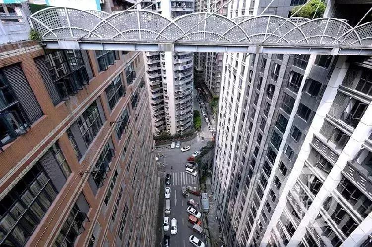 重庆网红vs其他城市网红,重庆成网红