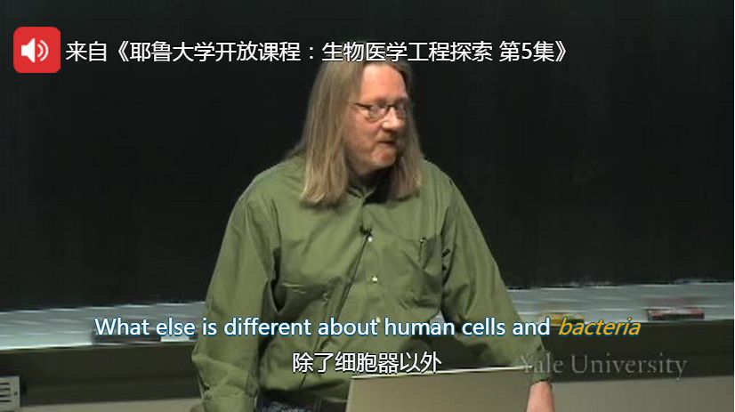 不用背单词一个方法熟记800个单词,不用背单词就能记住单词的方法