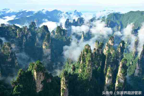 张家界旅游注意事项跟团,去张家界旅游注意事项和建议