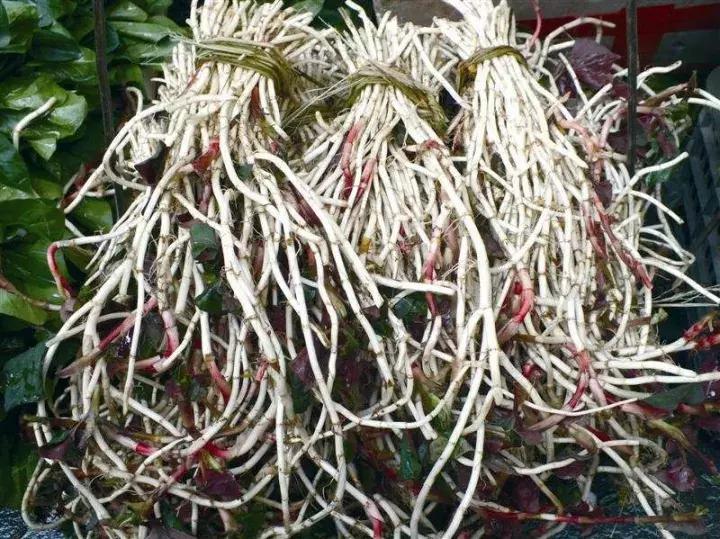 怀化又有3个特产被国家保护