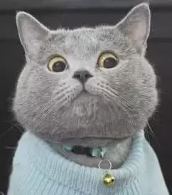 男子被酒店拉黑,男子在走廊上晒香肠