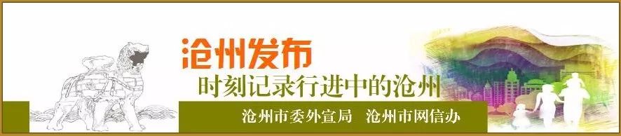 河北省沧州网信办,沧州网信办最新消息