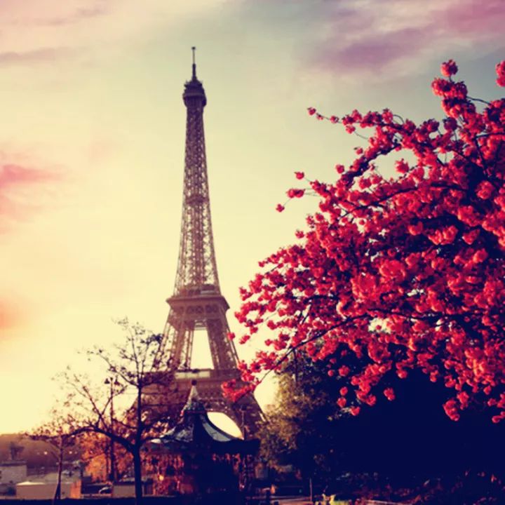 子宫出租实录：能站着挣钱，就别躺着