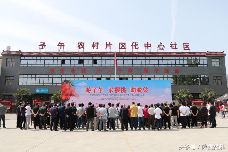 大樱桃带动乡村旅游,樱桃带动乡村旅行