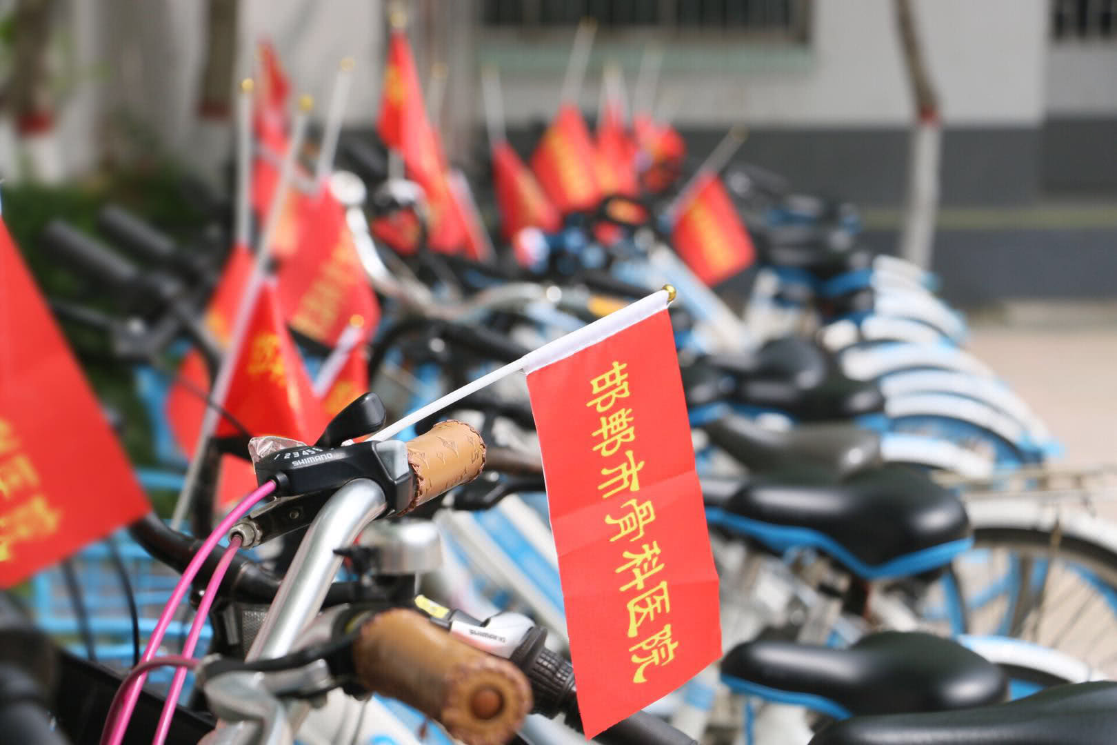 楠ㄧ鍗椾竵鏍煎皵涔夎瘖涓婚,楠ㄧ鍗椾竵鏍煎皵