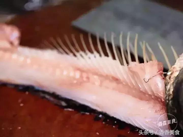 去拔草心仪已久的美食,这次采野菜我们的收获有什么