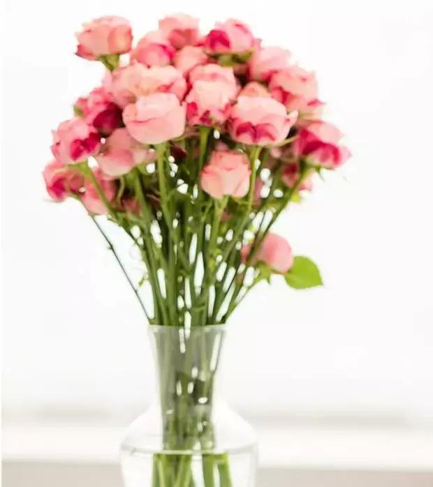 天气热如何灭蚊虫叮咬呢,天热驱蚊虫方法