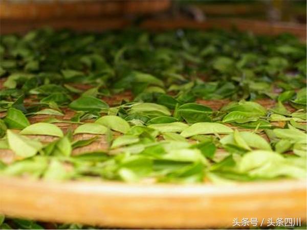 茶和天下熟茶,茶和天下茶桌