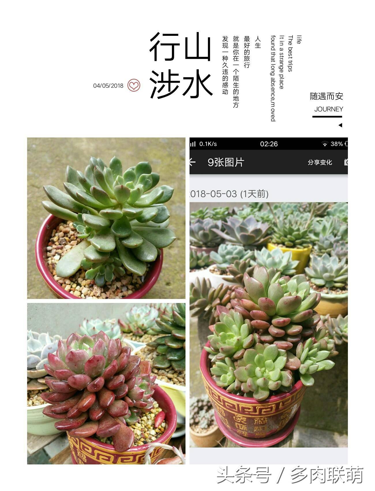 满园春色留不住下一句,满园春色留不住来自哪首古诗